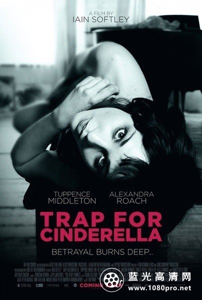 灰姑娘的陷阱 Trap.for.Cinderella.2013.720p.BluRay.x264-SONiDO 4.37G-1.jpg