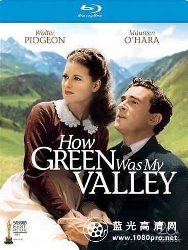 青山翠谷/翡翠谷 How.Green.Was.My.Valley.1941.720p.BluRay.X264-AMIABLE 5.48G-1.jpg