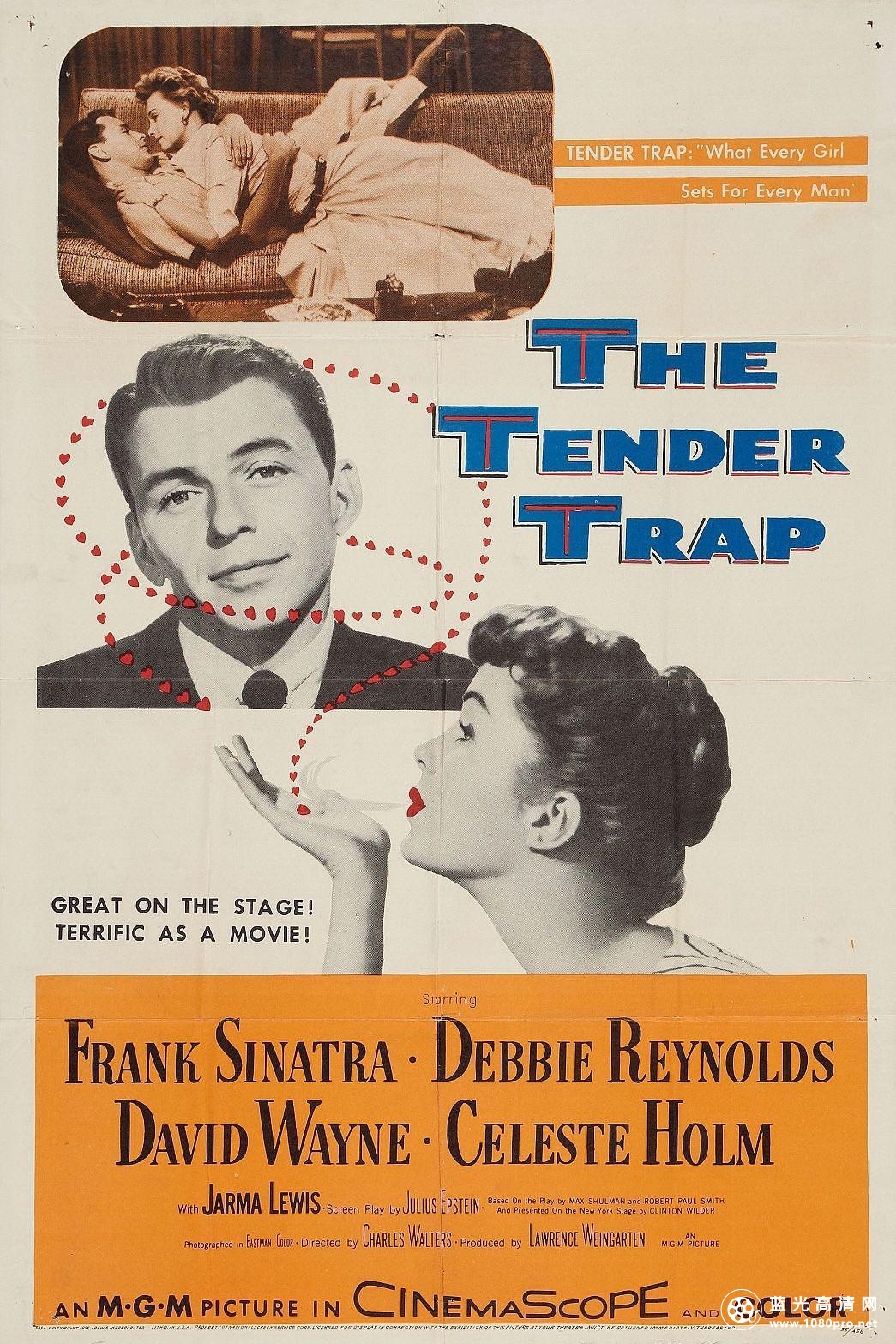 温柔陷井/爱上婚姻路 The.Tender.Trap.1955.1080p.AMZN.WEBRip.DD5.1.x264-SbR 11.61GB-1.png