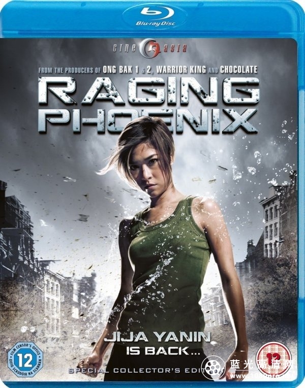 怒火凤凰 Raging Phoenix 2009 720p BluRay x264-AVCHD 6.56GB-1.jpg