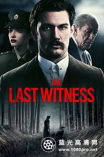 最后证人 The.Last.Witness.2018.720p.BluRay.x264.DTS-FGT 4.56GB-1.jpg