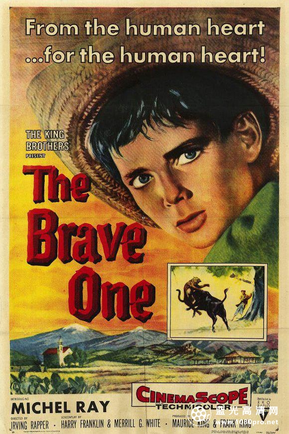 勇敢的人 The.Brave.One.1956.720p.BluRay.x264-HD4U 4.38GB-2.jpg