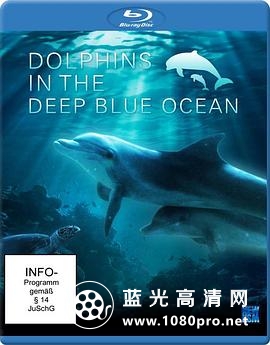深蓝色海洋里的海豚 Dolphins.in.the.Deep.Blue.Ocean.2009.1080p.BluRay.x264-PussyFoot 5.47GB-1.jpg