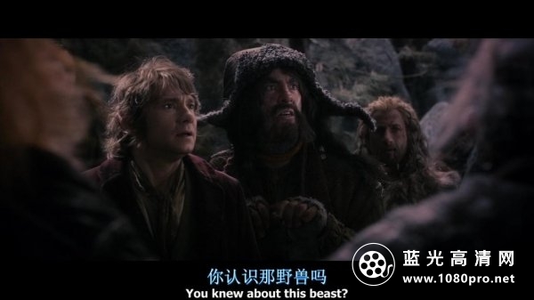霍比特人2 The.Hobbit.2013.BluRay.720p.x264.AC3-WOFEI 中英字幕  3.42GB-3.jpg