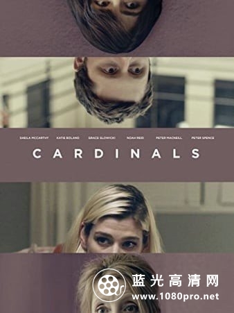 红雀/藏不住的秘密 Cardinals.2017.720p.BluRay.DTS.x264-HDS 3.53GB-1.jpg
