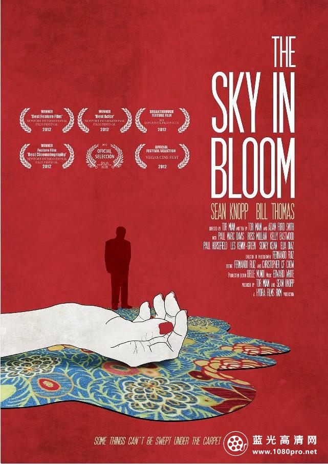 绽放的天空/云海无垠 The.Sky.in.Bloom.2013.1080p.WEBRip.x264-RARBG 1.84GB-1.png