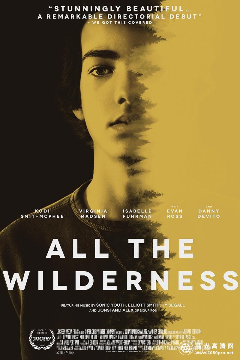 荒原上的青春 All.The.Wilderness.2014.1080p.BluRay.x264-HANDJOB 5.90GB-1.png