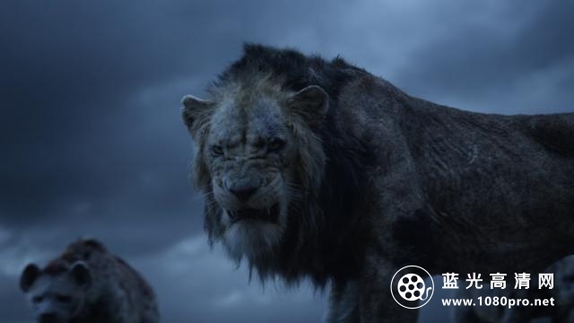 狮子王/狮子王真人版 The.Lion.King.2019.2160p.杜比全景声  多版本注意区分