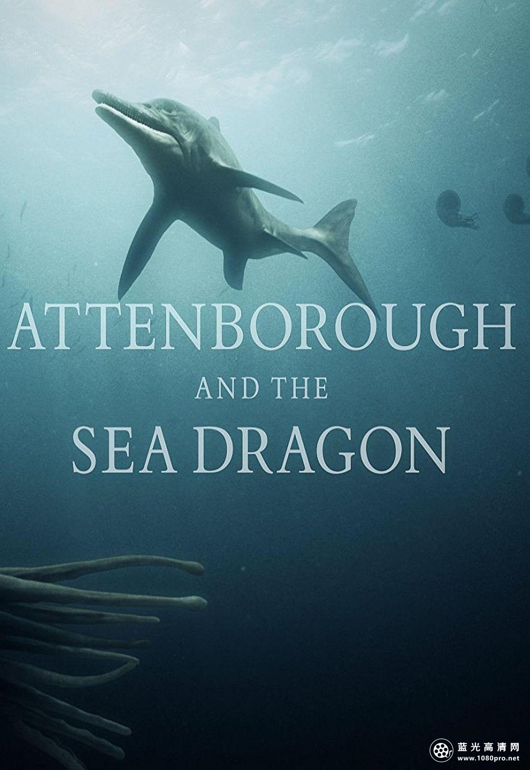 爱登堡爵士和海龙/史前海怪 Attenborough.And.The.Sea.Dragon.2018.1080p.WEBRip.x264-RARBG 1.01GB-1.png