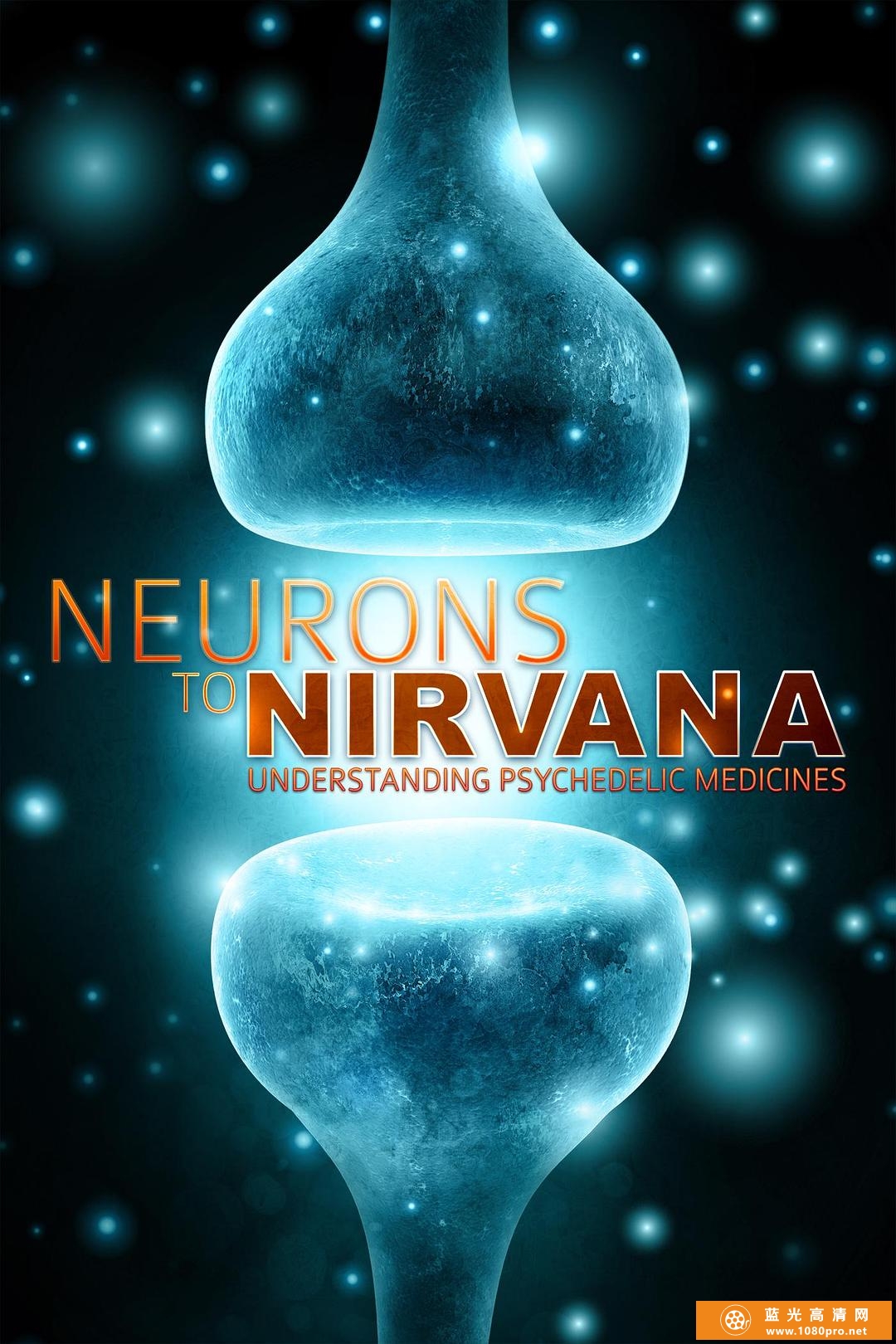 从神经元到极乐世界:伟大的药物 Neurons.to.Nirvana.Understanding.Psychedelic.Medicines.2013.1080p.WEBR ...