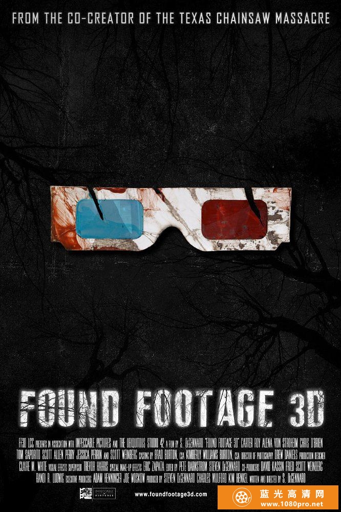 伪纪录片3D/伪纪录恐怖片3D Found.Footage.2016.1080p.BluRay.x264.DTS-MT 11.66GB