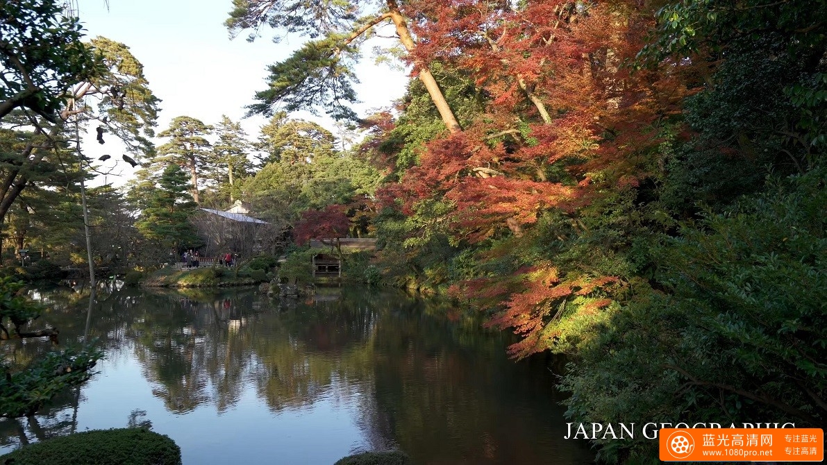 超清晰日本石川 金沢兼六園的4k风景视频免费下载