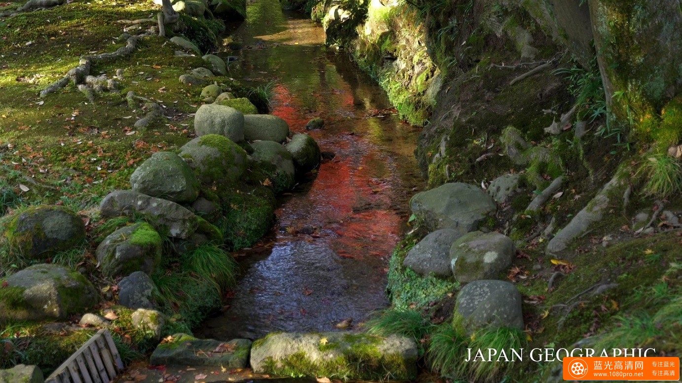 超清晰日本石川 金沢兼六園的4k风景视频免费下载