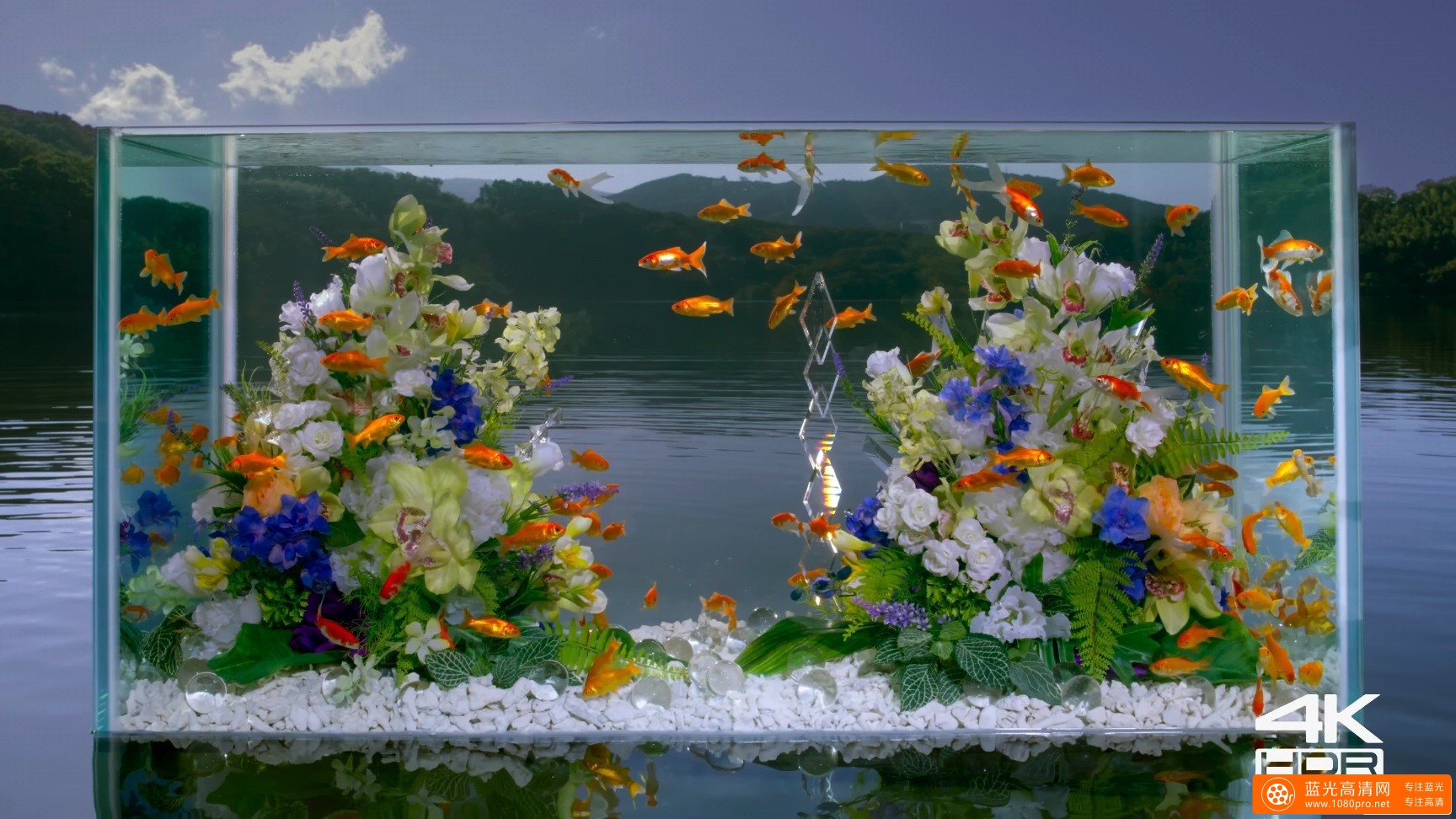 水族馆Real 4K HDR 60fps Panasonic Aquarium[webm/428M]视频