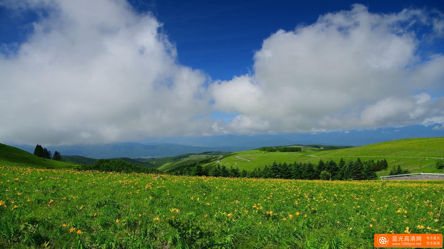 超清晰日本美しい車山高原的4k风景视频免费下载