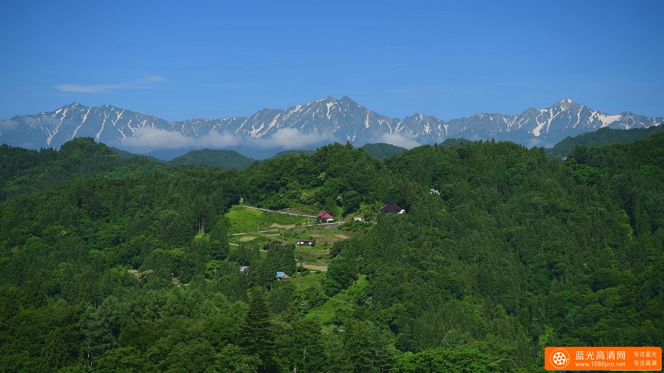 超清晰日本4K 初夏小川村美景的4k风景视频免费下载