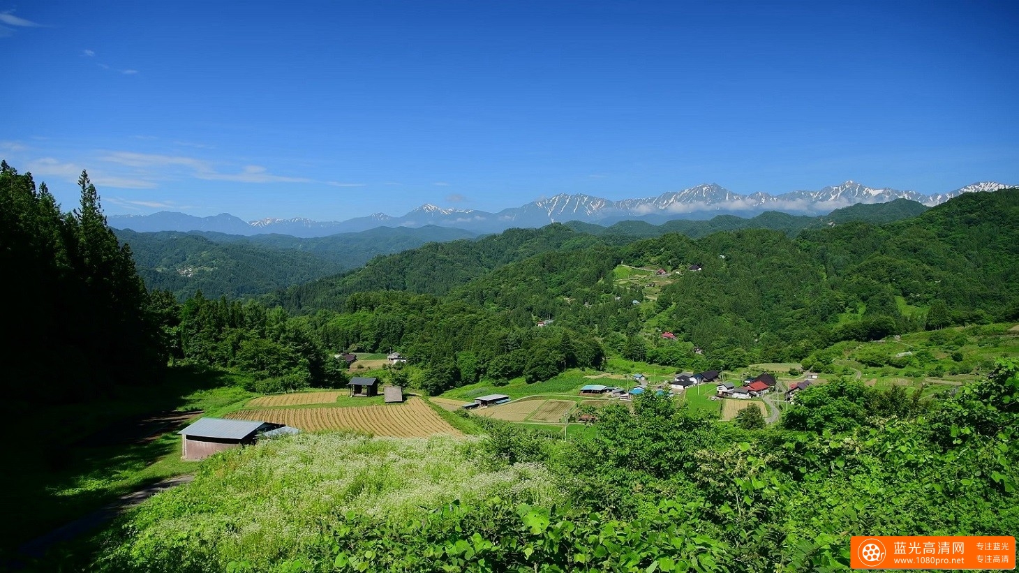 超清晰日本4K 初夏小川村美景的4k风景视频免费下载