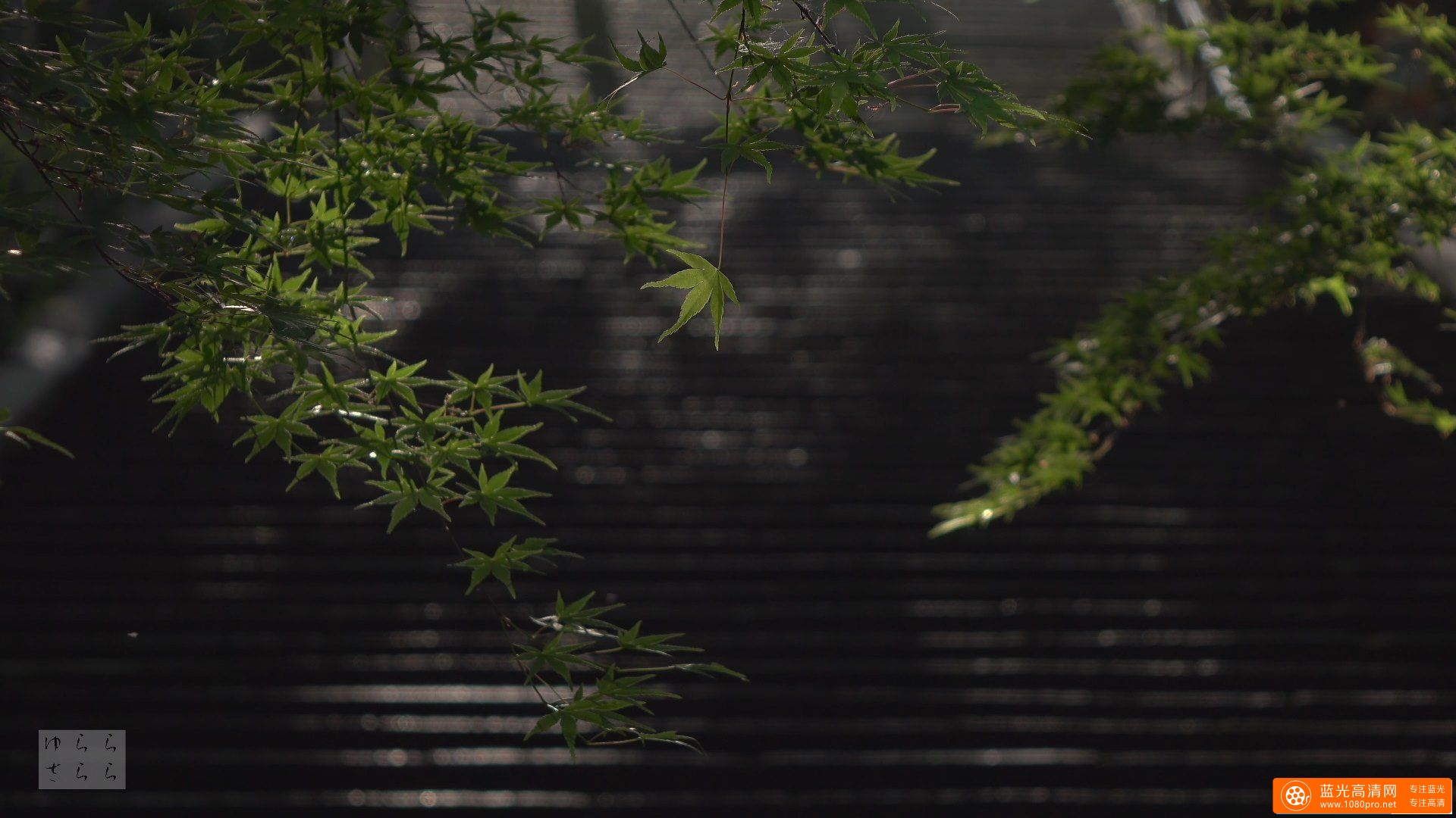 陰翳礼讃 京都の庭園