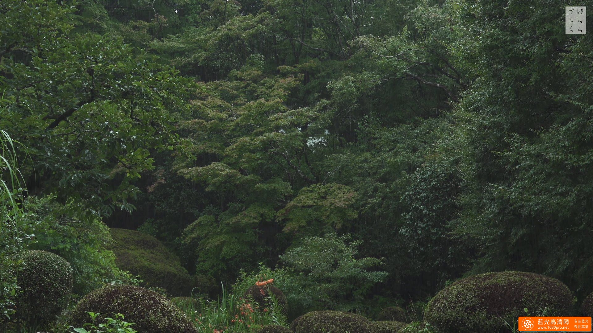 詩仙堂 京都の庭園