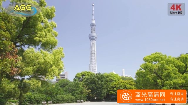 东京绿色城市[2160P/MP4/340M] 【百度云】