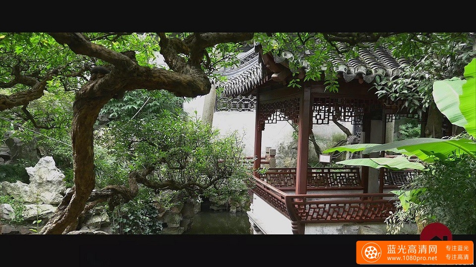 带你参观4k超高清上海豫园风景-1.jpg
