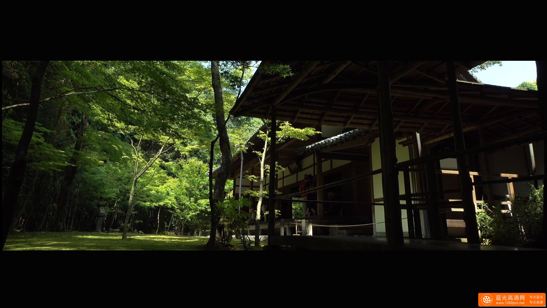 高桐院 大徳寺 京都の庭園 Koto-in Temple Daitoku-ji The Gardens of Kyoto Japan-1.jpg