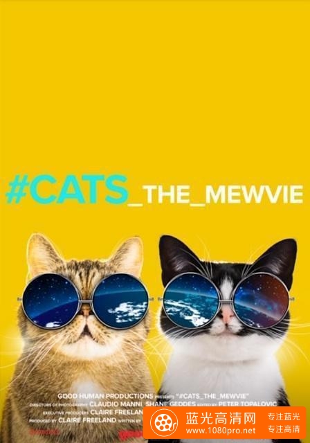 网红喵星人 Cats.The.Mewvie.2020.1080p.NF.WEBRip.DDP2.0.x264-WELP 3.13GB