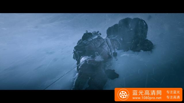 攀登者 The.Climbers.2019.CHINESE.1080p.BluRay.AVC.DTS-HD.MA.5.1-FGT 39.84GB