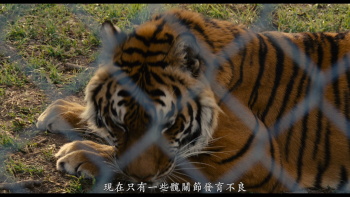 我家买了动物[DIY简繁中字]2011 1080p Bluray AVC DTS-HD MA 5.1-DIY-HDChina 45.23G