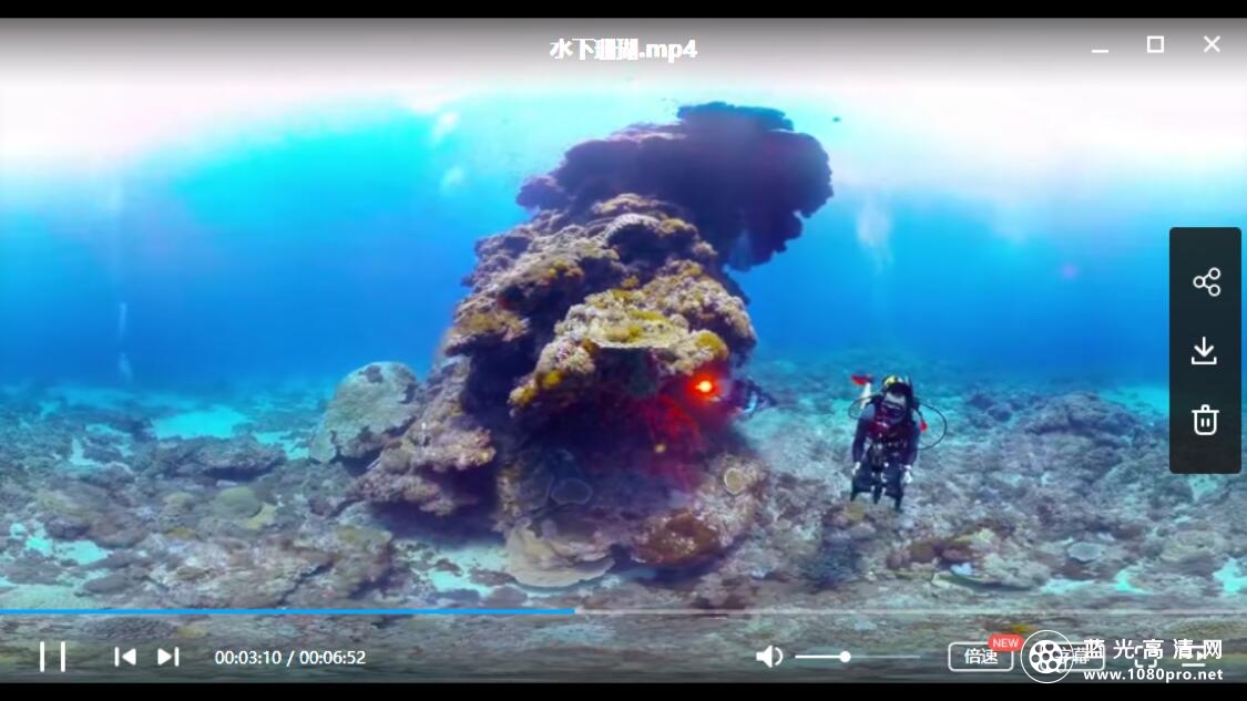 水下珊瑚百度网盘下载【945MB】