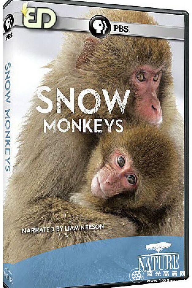 BBC自然世界:雪猿/PBS自然:雪猴 Nature.Snow.Monkeys.2014.1080p.BluRay.x264-SADPANDA 3.28GB