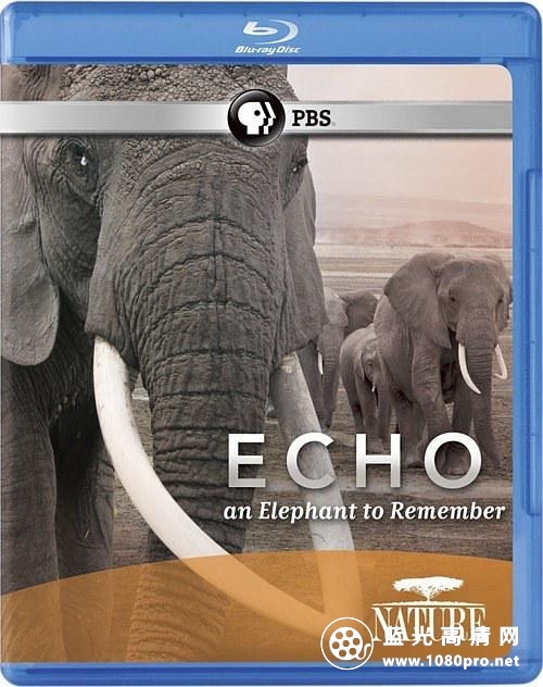 大象"回声"的回忆 Nature.Echo.An.Elephant.to.Remember.2010.1080p.BluRay.x264-SADPANDA 3.28GB-1.jpg