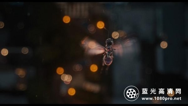 蚁人/蚁侠[3D原盘]Ant-Man.2015.1080p.3D.BluRay.AVC.DTS-HD.MA.7.1-RARBG 38.22GB