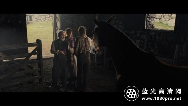 战马/雷霆战驹 War.Horse.2011.1080p.BluRay.AVC.DTS-HD.MA.7.1-FGT 39GB