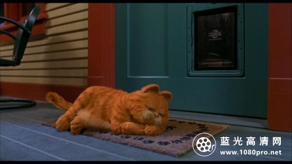 加菲猫 Garfield.2004.1080p.BluRay.AVC.DTS-HD.MA.5.1-FGT 33.57GB