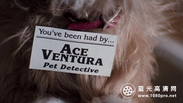 神探飞机头/王牌威龙 Ace.Ventura.Pet.Detective.1994.1080p.BluRay.AVC.DTS-HD.MA.5.1-FGT 21.84GB ...