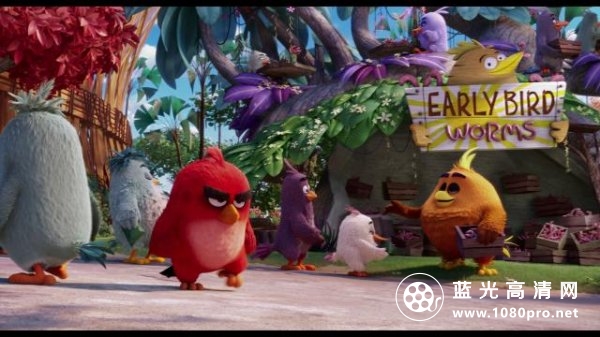愤怒的小鸟/愤怒鸟大电影 The.Angry.Birds.Movie.2016.1080p.BluRay.AVC.DTS-HD.MA.7.1-RARBG 37.22GB ...