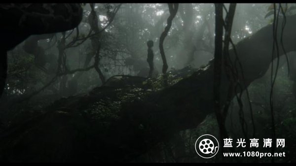 奇幻森林/与森林共舞 The.Jungle.Book.2016.1080p.3D.BluRay.AVC.DTS-HD.MA.7.1-FGT 45.17GB