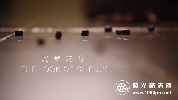 [沉默之像].The.Look.of.Silence.2014.BluRay.1080p.AVC.DTS-HD.MA.5.1-HDU[36.04G]