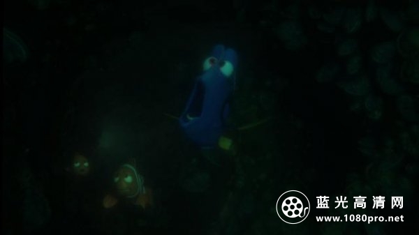 海底总动员2:多莉去哪儿/海底总动员2:寻找多莉 Finding.Dory.2016.1080p.3D.BluRay.AVC.DTS-HD.MA.7.1-FGT  ...