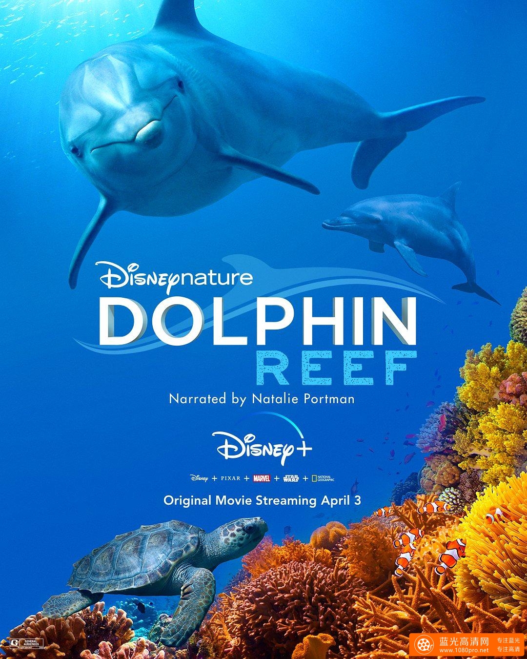 海豚礁 Dolphin.Reef.2020.1080p.WEBRip.x264-RARBG 1.46GB