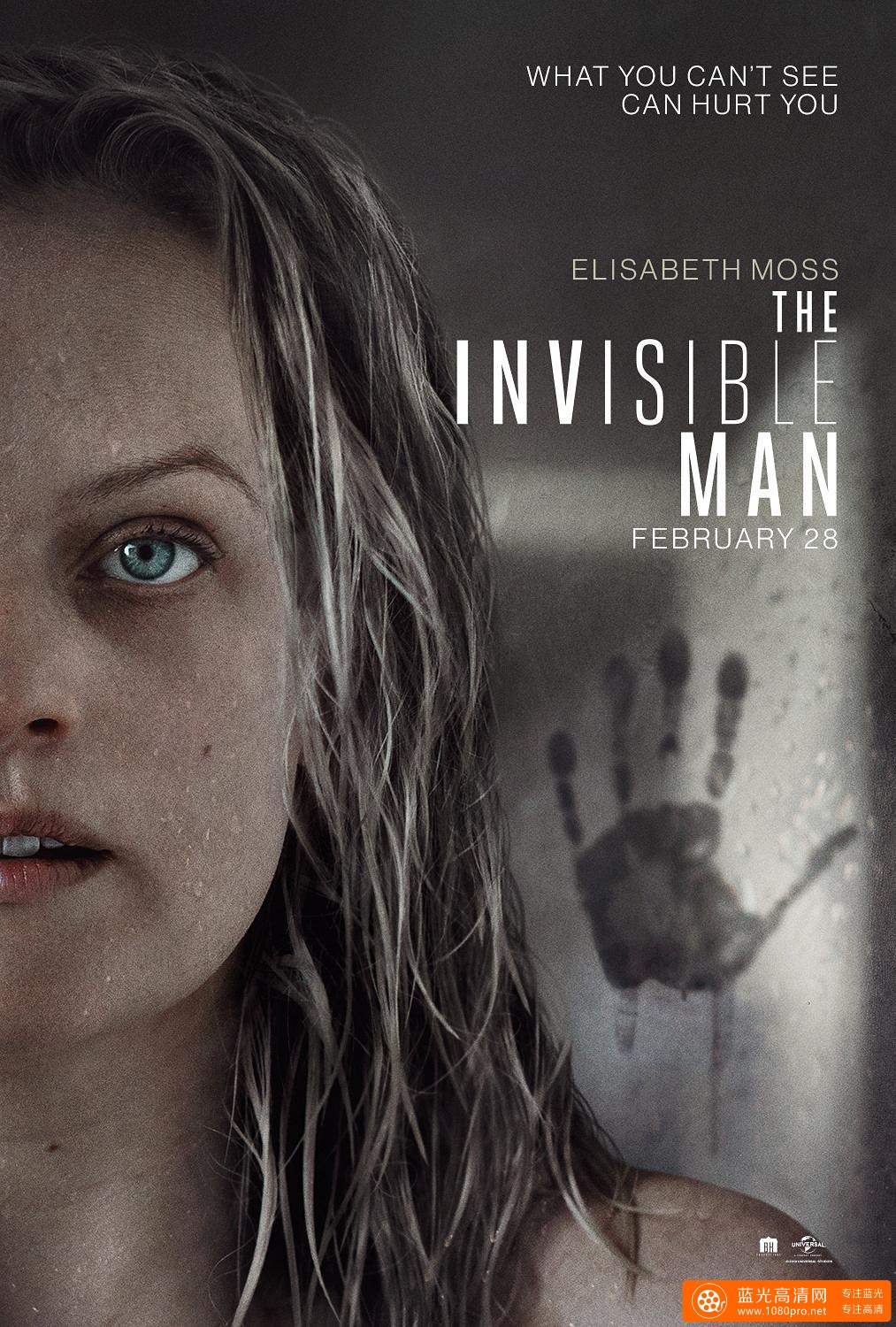隐形人/隐形客 The.Invisible.Man.2020.1080p.BluRay.x264.DTS-FGT 11.30GB