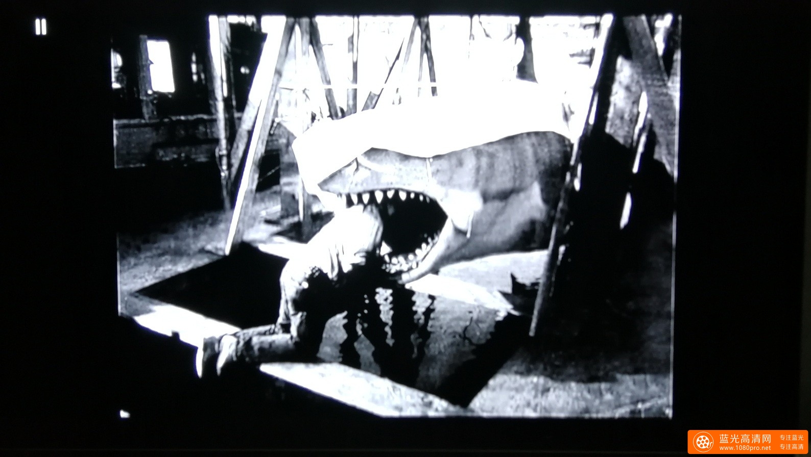 大白鲨4k，杜比视界屏摄,及部分花絮图片分享。-8.jpg