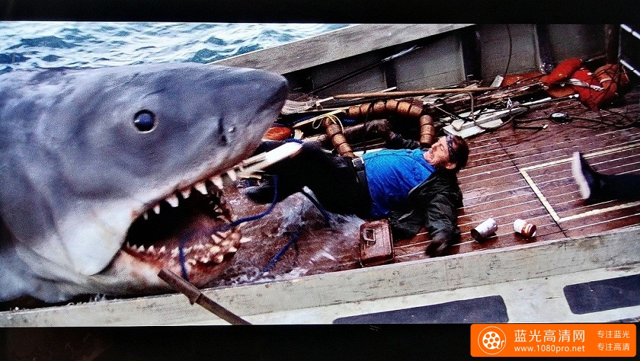 大白鲨4k，杜比视界屏摄,及部分花絮图片分享。-11.jpg