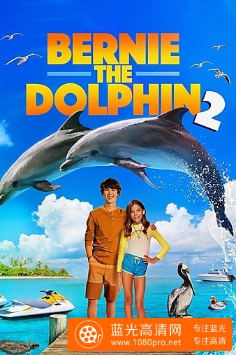 海豚伯尼2 Bernie.The.Dolphin.2.2019.720p.BluRay.x264-GETiT 2.63GB