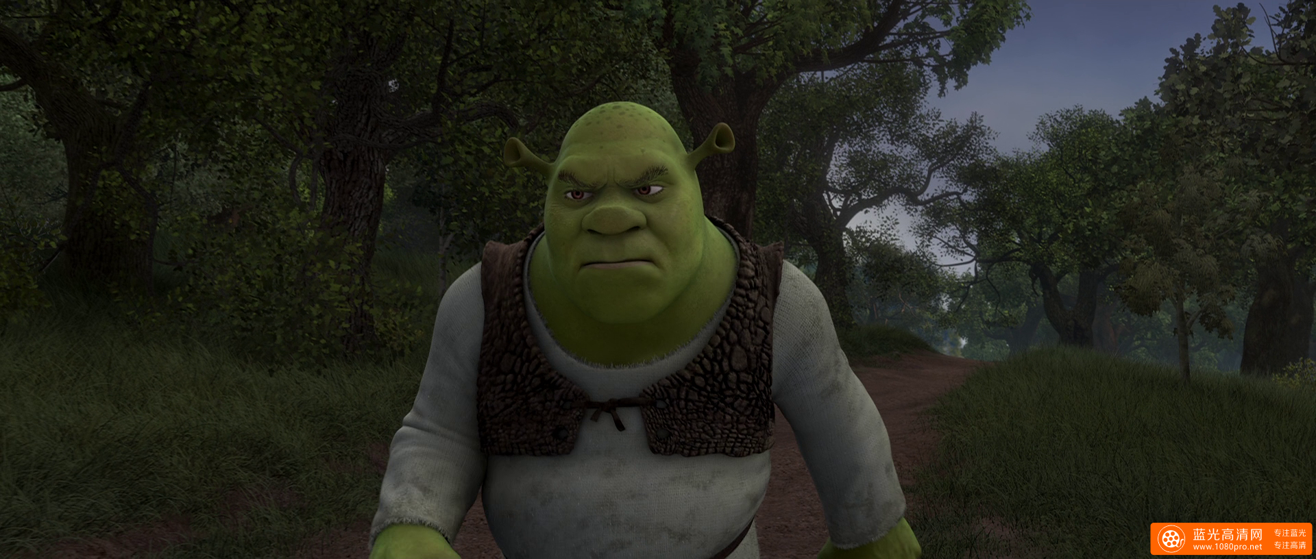 怪物史瑞克4 Shrek.Forever.After.2010.1080p.BluRay.x264.DTS-FGT 7.16GB