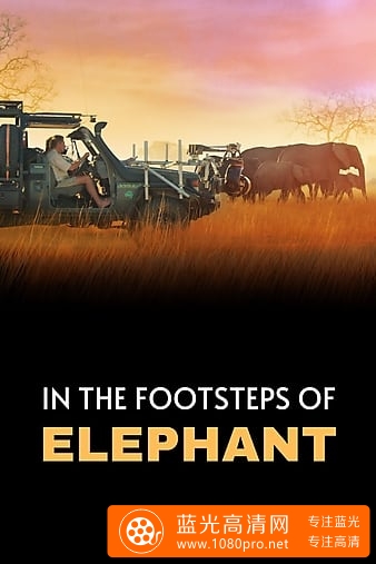 《大象》幕后特辑 In.the.Footsteps.of.Elephant.2020.720p.DSNP.WEBRip.DDP5.1.x264-ETHiCS 2.67GB ...
