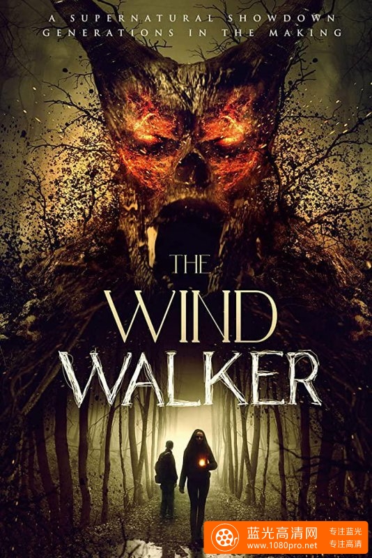 风行者/超自然战场 The.Wind.Walker.2019.1080p.BluRay.x264-GETiT 6.69GB