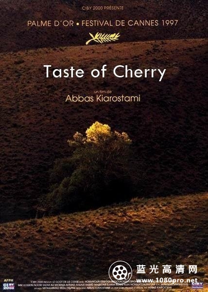 樱桃的滋味/樱桃之味 Taste.of.Cherry.1997.720p.BluRay.x264-USURY 7.39GB