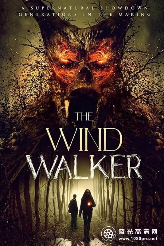 风行者/超自然战场 The.Wind.Walker.2019.720p.BluRay.x264-GETiT 2.86GB
